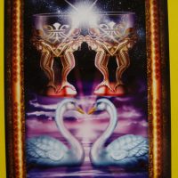 2 kielichów (pucharów)- ile odcieni ma miłość?