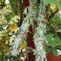 Ziołowe kadzidła. Zrób je samodzielnie