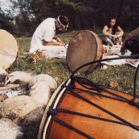 Medycyna roślin w szamanizmie